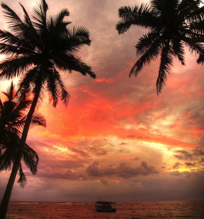 Ypsylon Tourist Resort ベールワラ エクステリア 写真