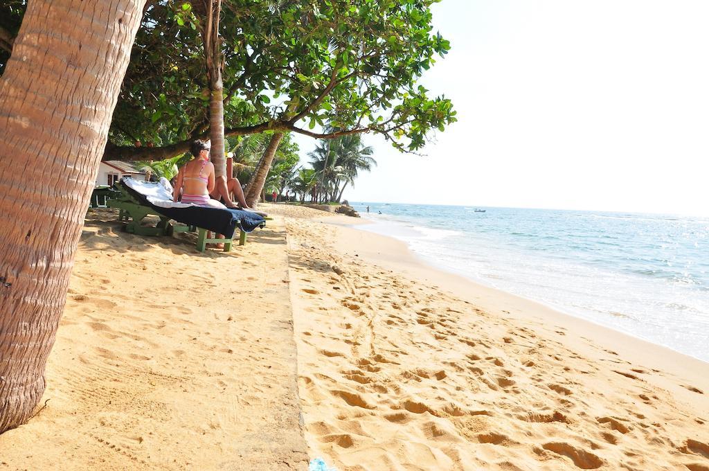 Ypsylon Tourist Resort ベールワラ エクステリア 写真